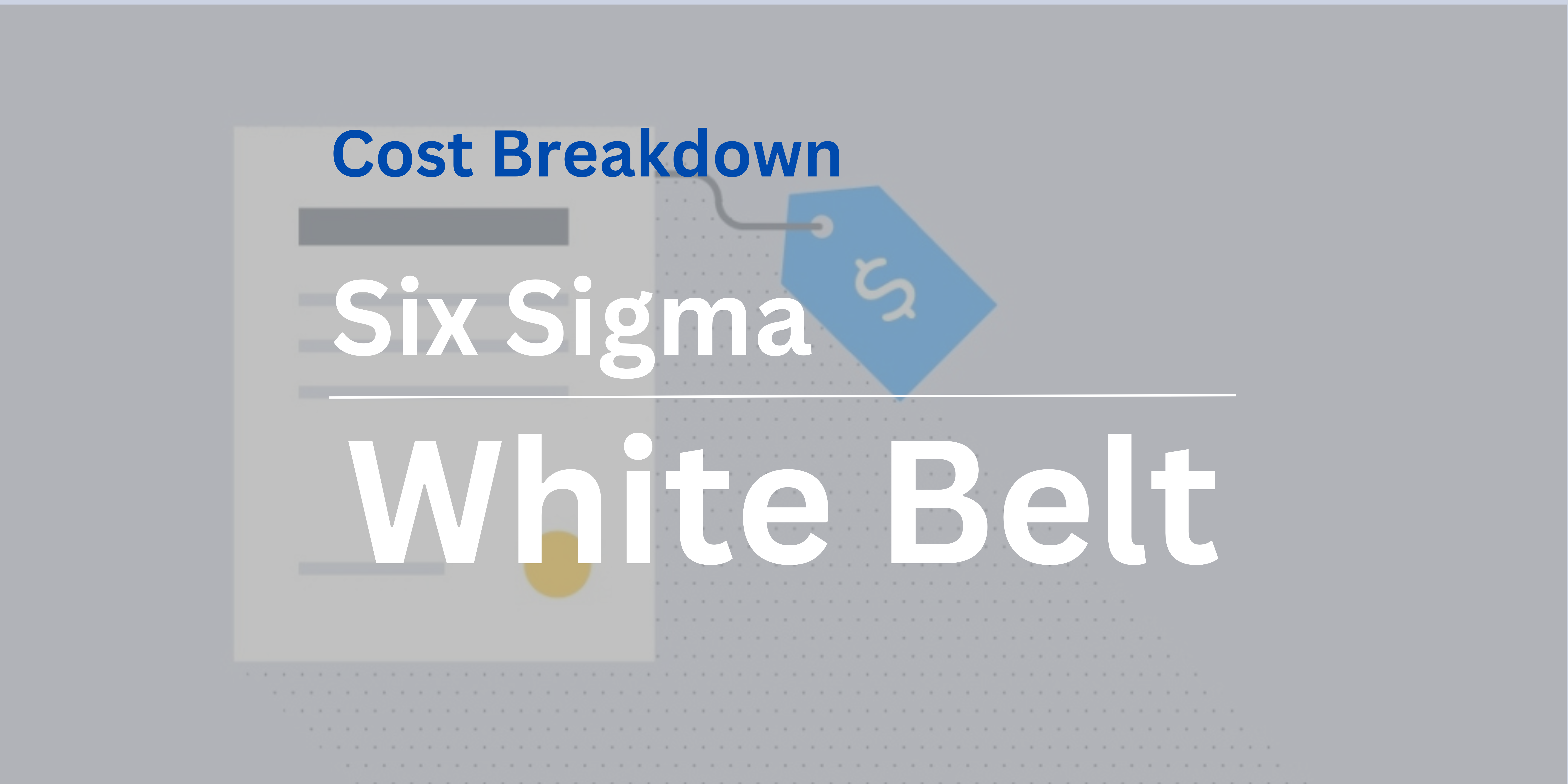 Six Sigma White Belt Certification cost Breakdown