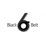 Six Sigma Black Belt, SSBB