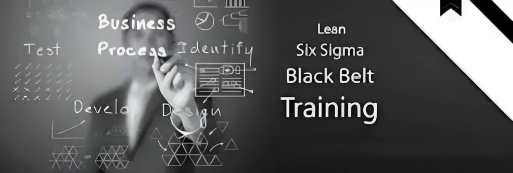 Lean Six Sigma Black Belt Certification Training Guide