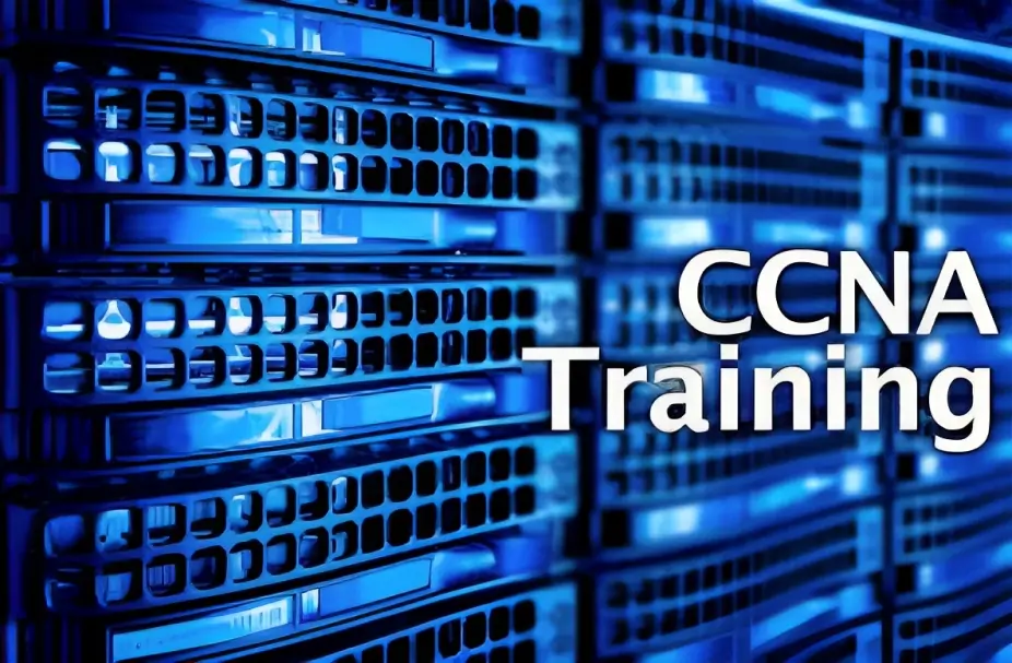 Cisco Certified Network Associate, CCNA Certification Training Guide