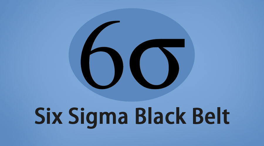 Six Sigma Black Belt Cost Breakdown